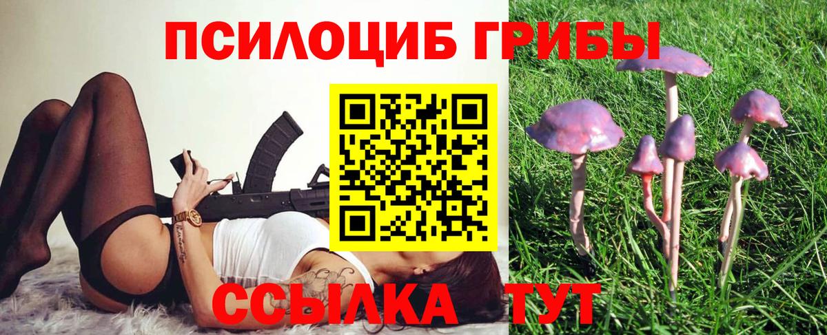 Псилоцибиновые грибы мицелий Калач-на-Дону